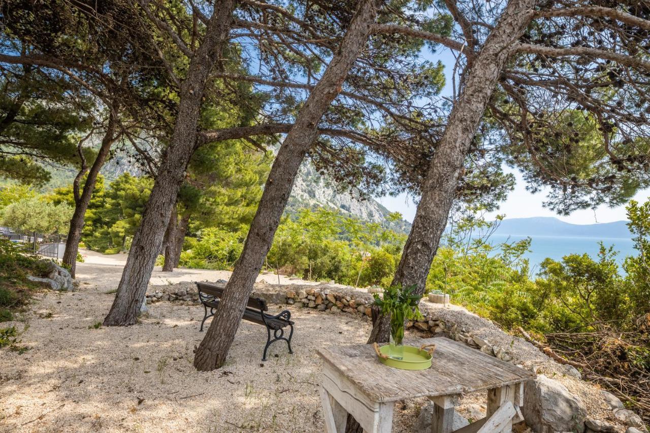 Villa Unique Gradac  Kültér fotó