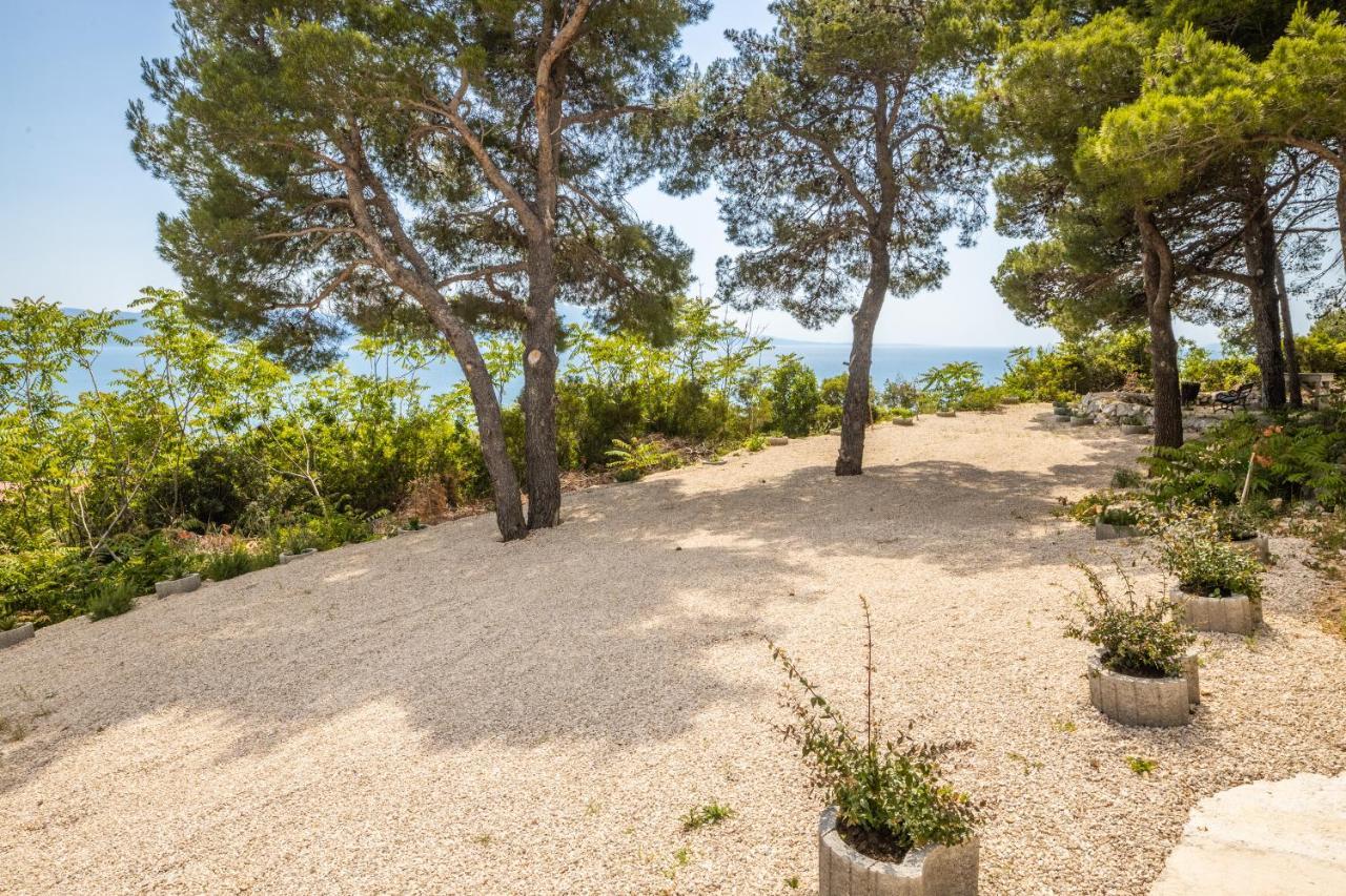 Villa Unique Gradac  Kültér fotó